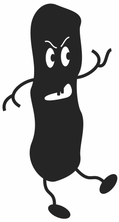 TB bacterium-alive